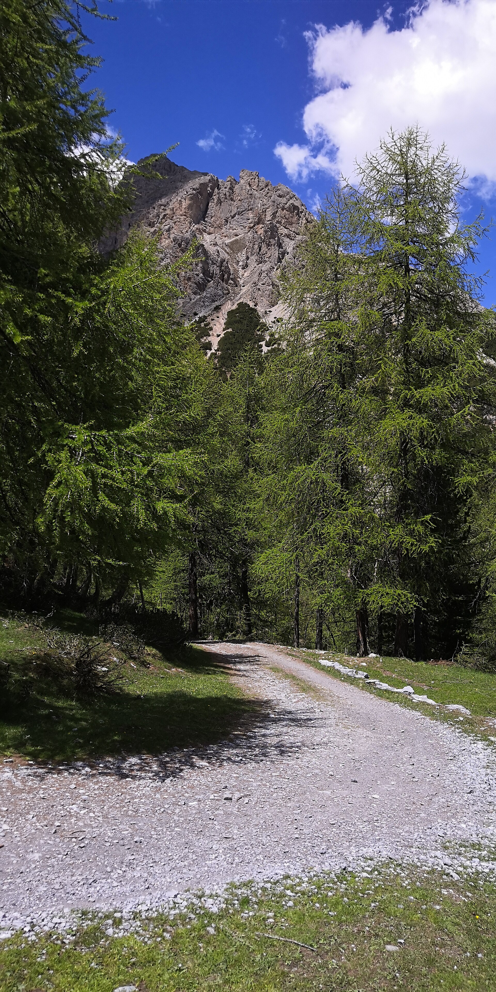 Laghi di Cancano